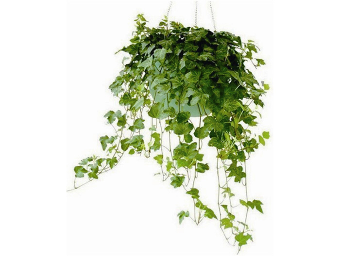 深圳市办公家具厂