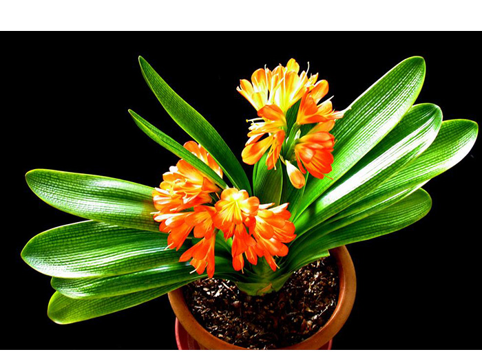 深圳市办公家具厂